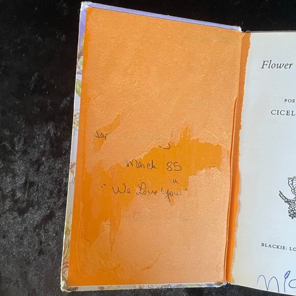 Flower Fairies of the Trees - 1974 Vintage Fairy Book - Picture 2 of 11